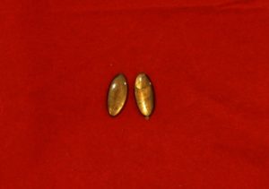 Gold Sheen Sapphire Matched Pair