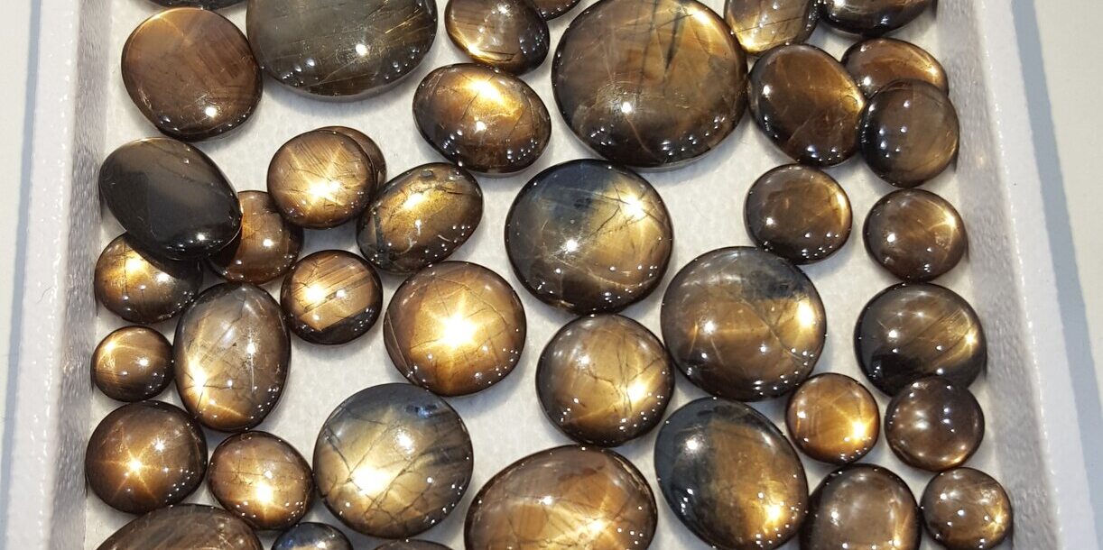Tray of brown and gold sheen sapphire cabochons of various sizes, several showing six-rayed stars.